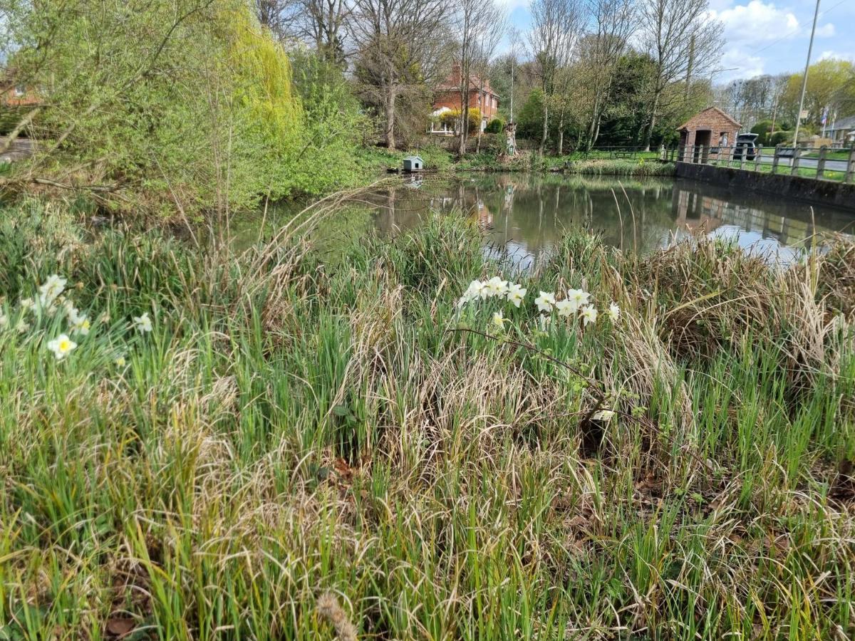 Gorgeous 1 Bed Apartment In Wetwang Driffield Bagian luar foto